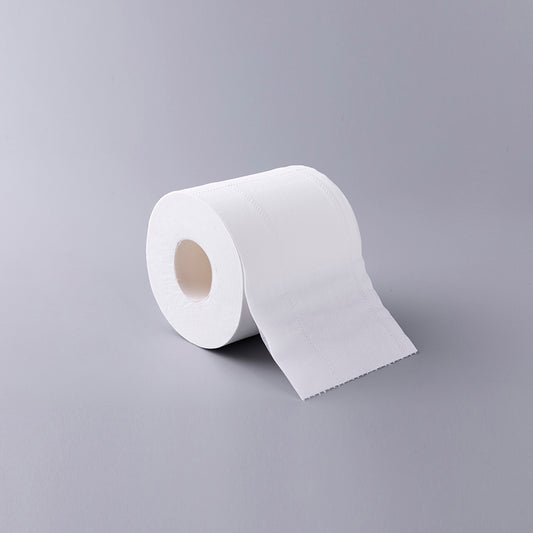 Toilet Paper Roll 2 Ply 420 Sheets x 48 rolls/case